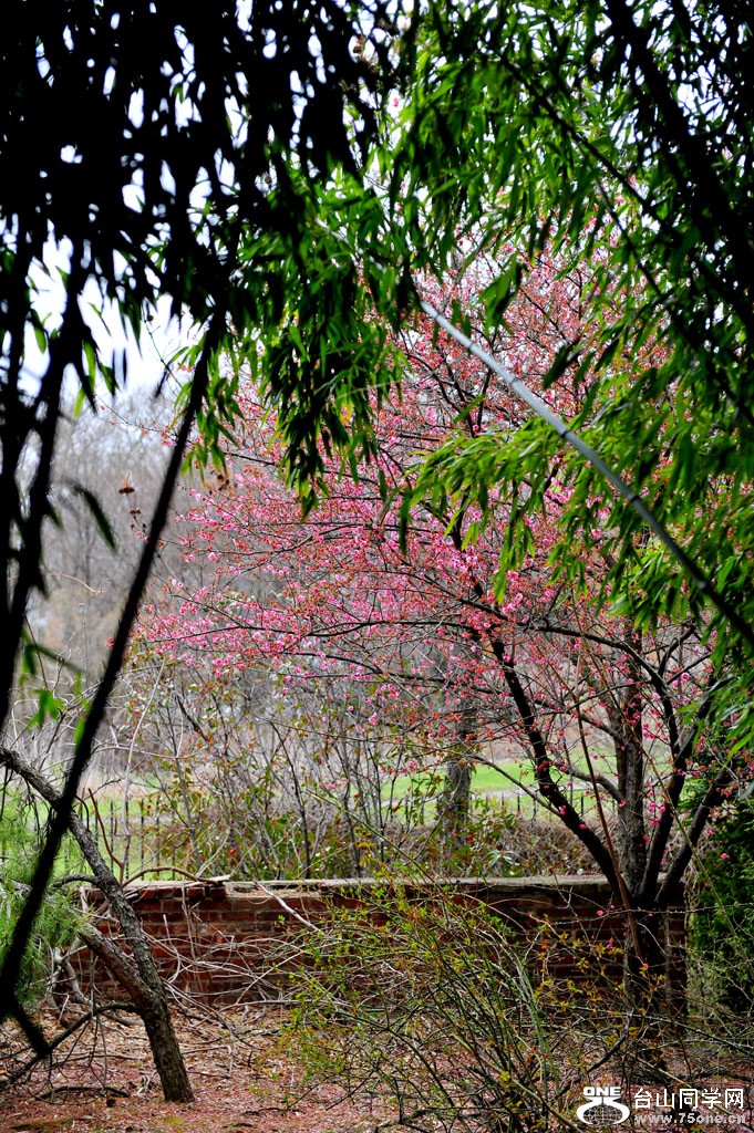 DSC_2403.jpg