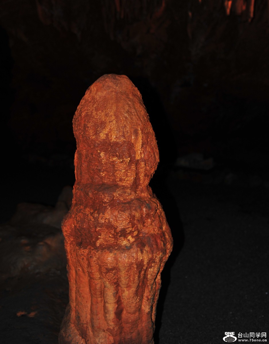 DSC_1872.jpg