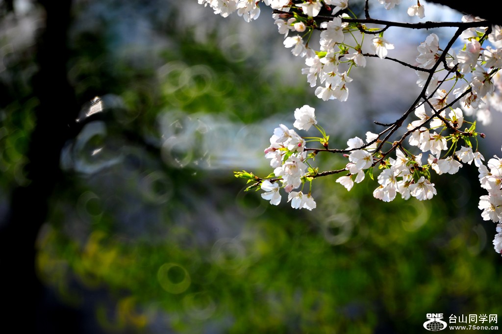 DSC_1030-1.jpg