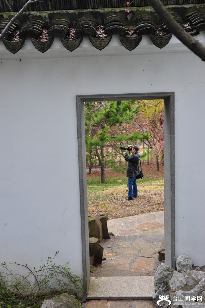 DSC_2434.jpg