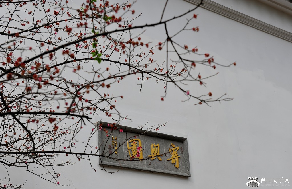 DSC_2435.jpg