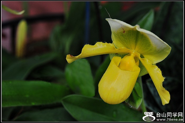 dsc_5619.jpg