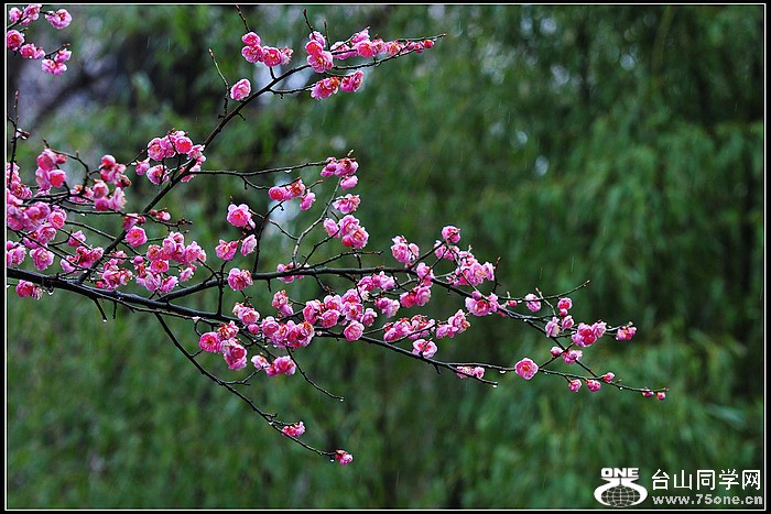 DSC_3038.JPG