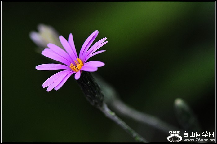 dsc_5505.jpg