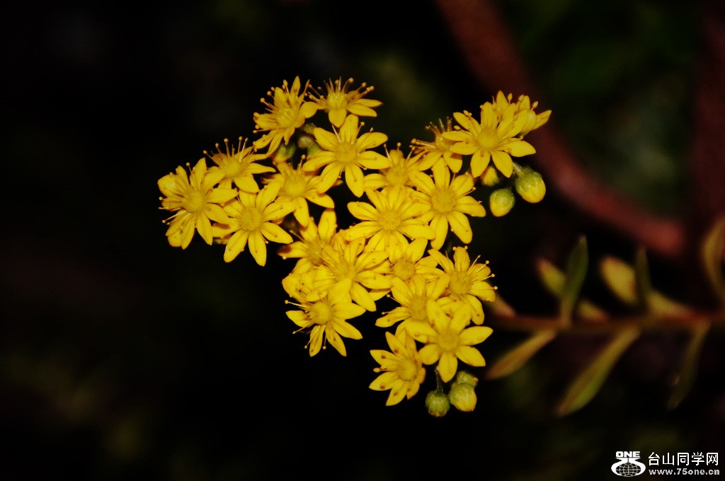 DSC_5800.jpg