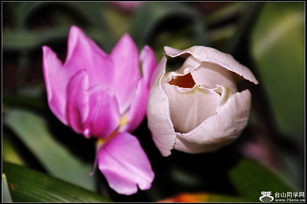 DSC_5801.jpg