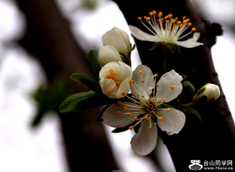 }u -IMG_5551xxss.jpg