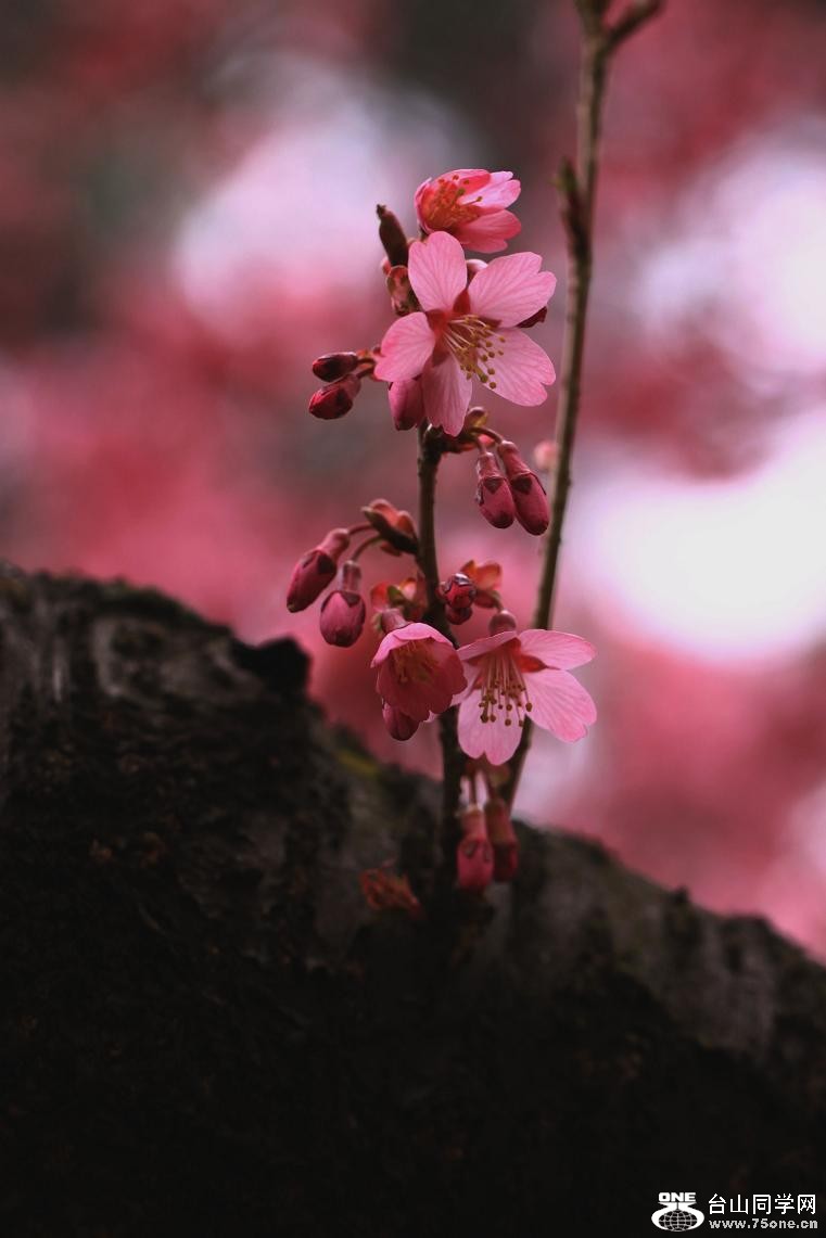 }u -IMG_4166aa.jpg
