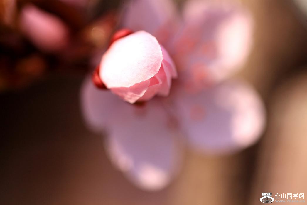 }u -IMG_4334aa.jpg