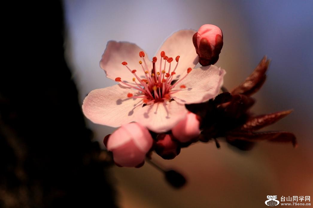 }u -IMG_4296aa.jpg