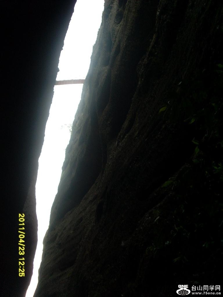 SL372637.JPG