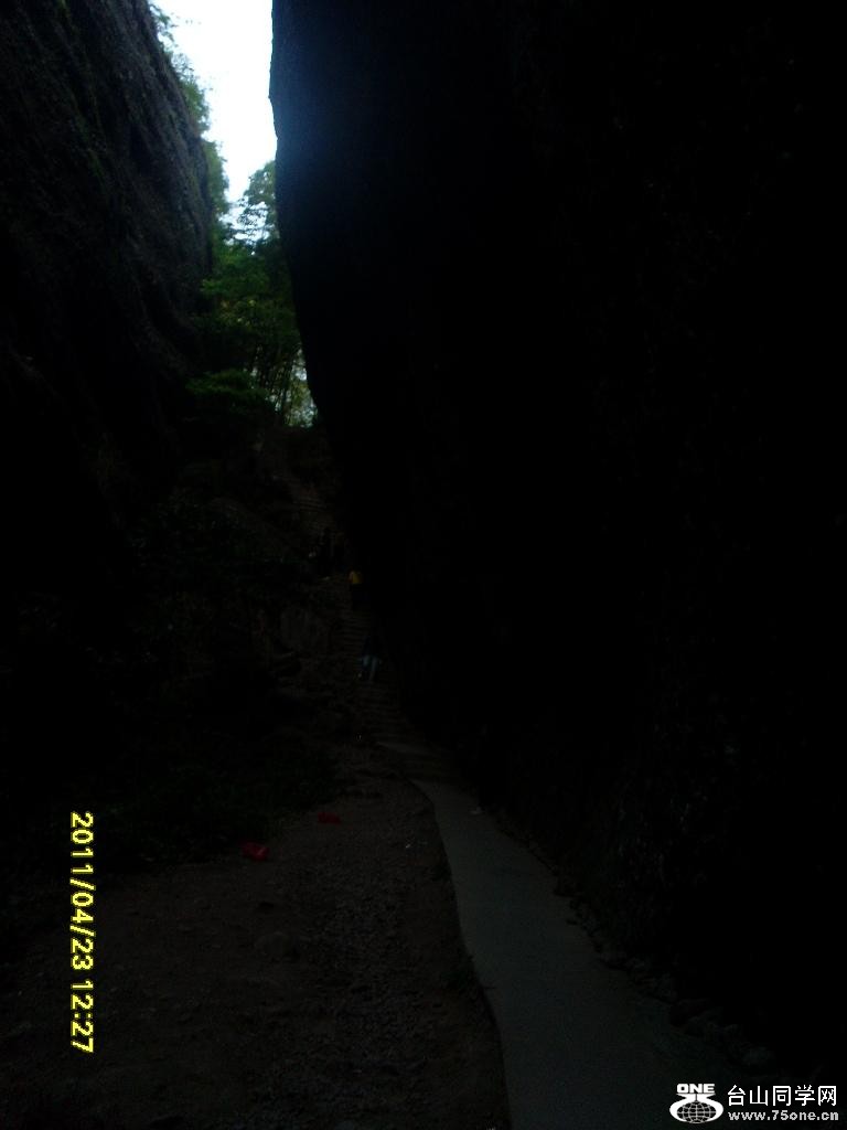 SL372639.JPG