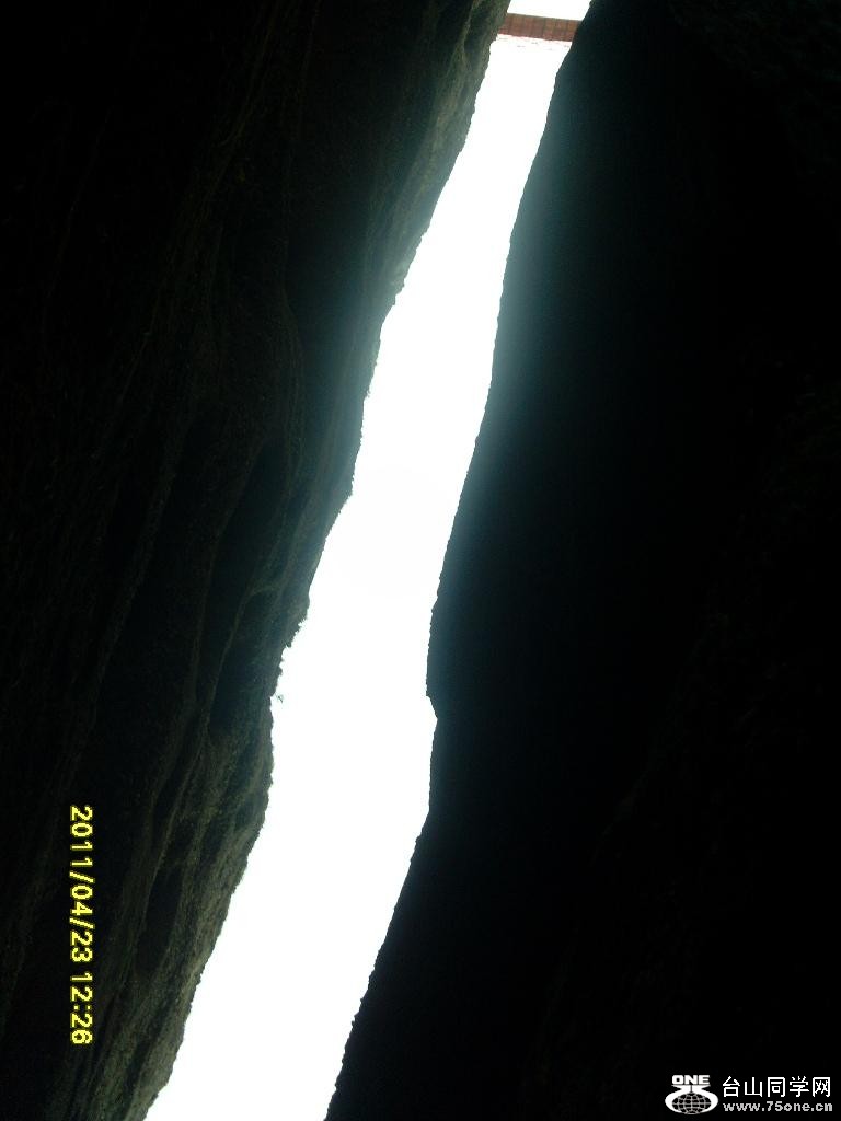SL372638.JPG
