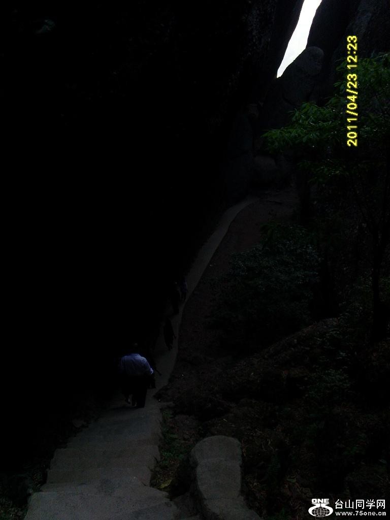 SL372634.JPG