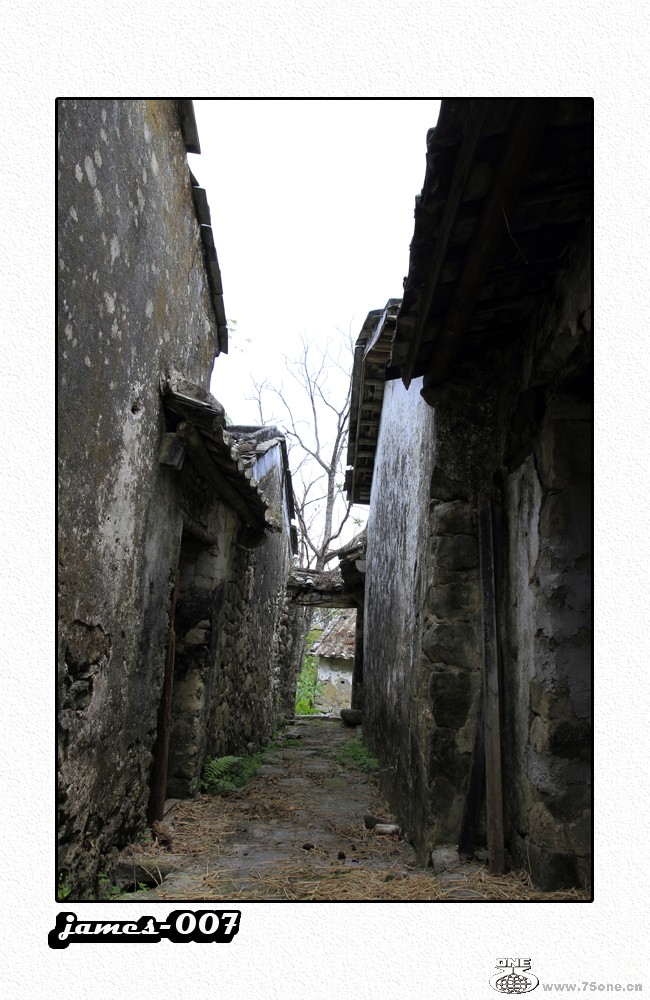 qq30.jpg