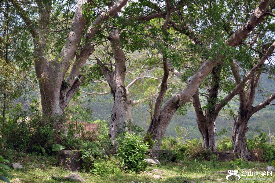 DSC_2061.JPG