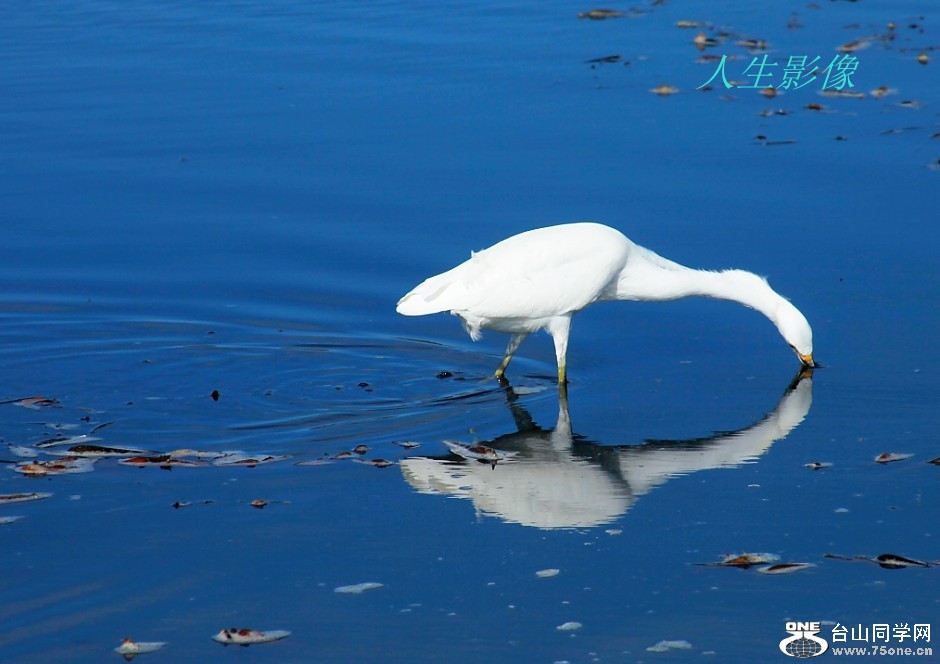 δ11_.jpg