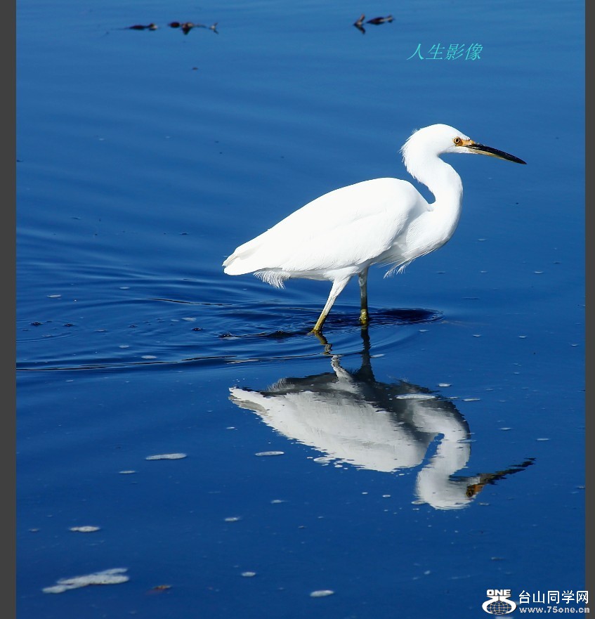 δ9_.jpg