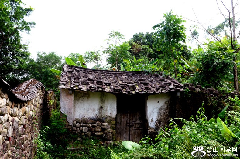 DSC_0243.jpg