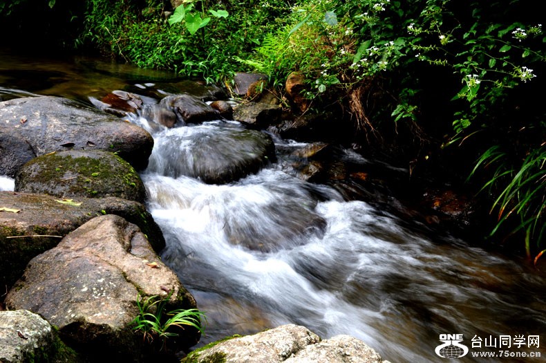 DSC_0356.jpg