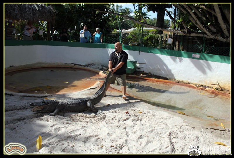 zoo11.jpg