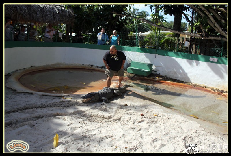 zoo12.jpg