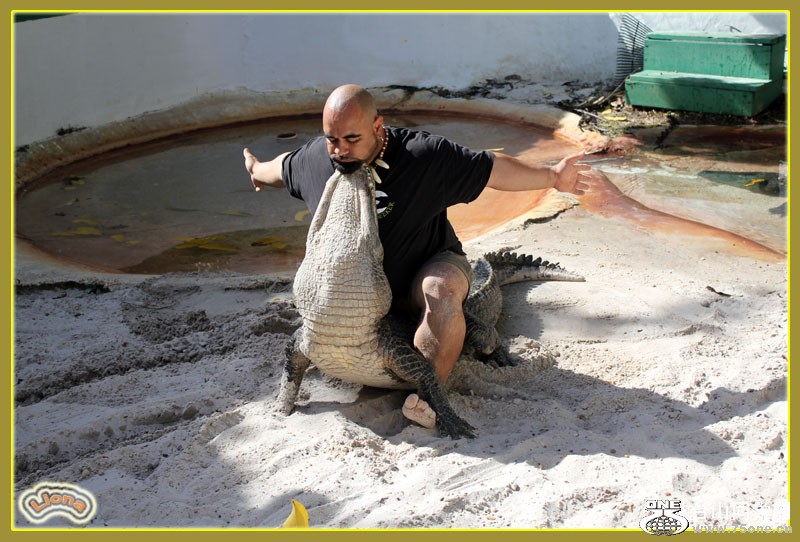 zoo20.jpg