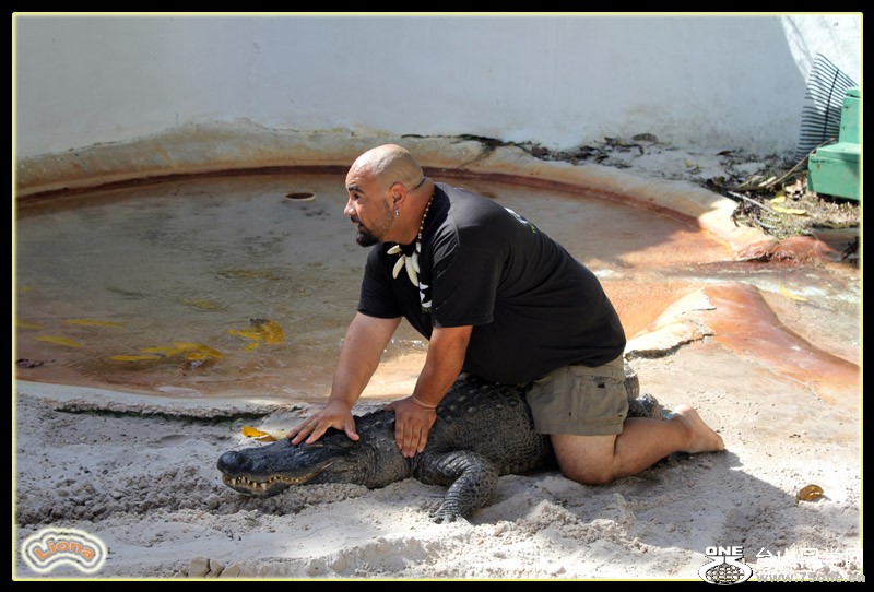 zoo14.jpg