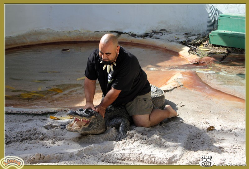 zoo16.jpg