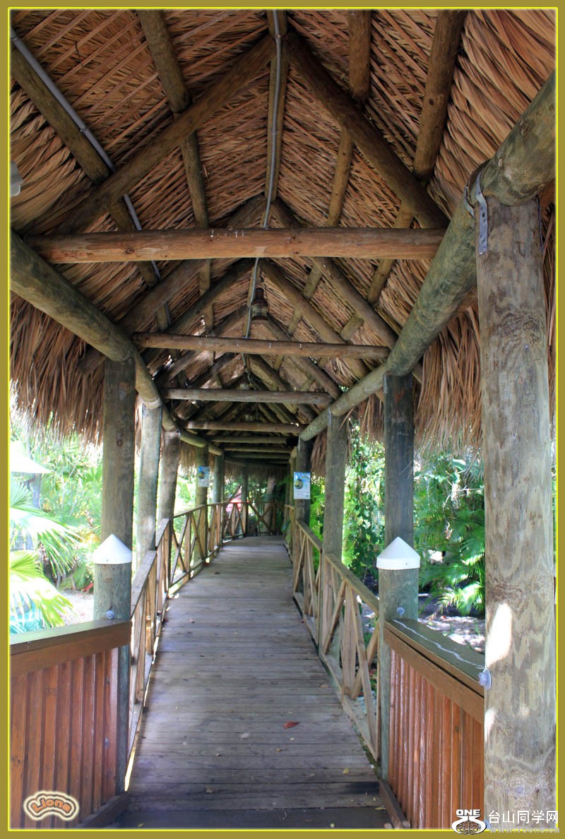 zoo26.jpg
