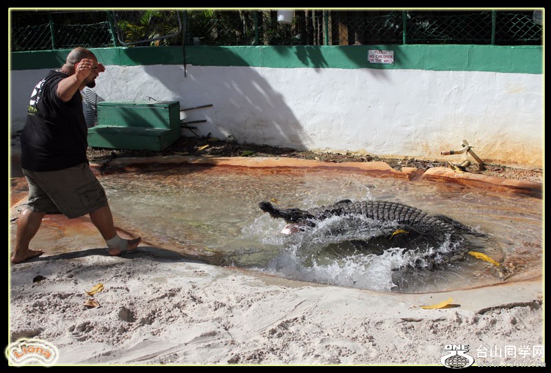 zoo10.jpg