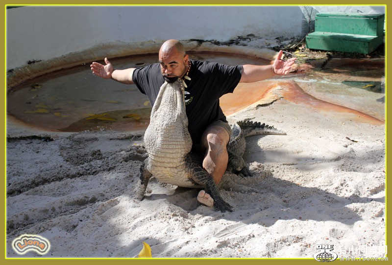 zoo21.jpg