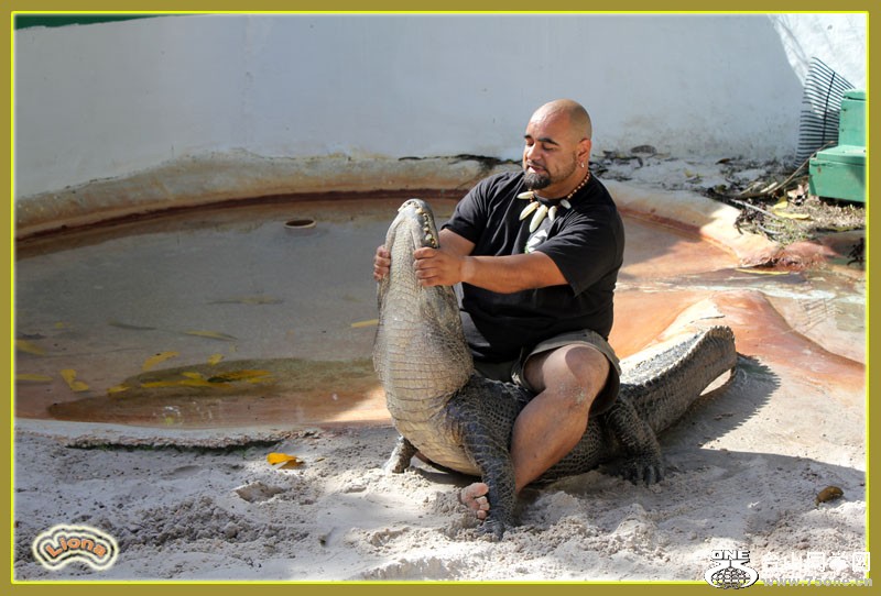 zoo19.jpg