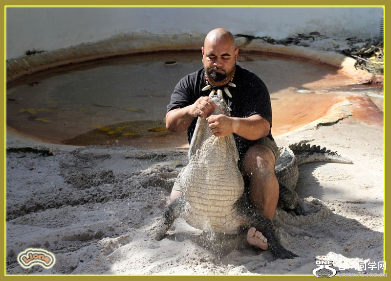 zoo24.jpg
