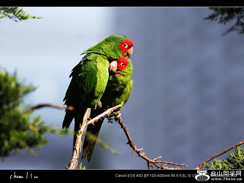 IMG_5085-1.jpg