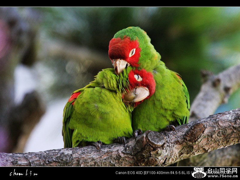 IMG_5162-1.jpg