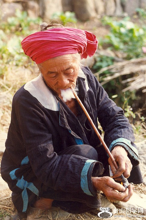D244.jpg