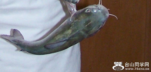 2934.jpg