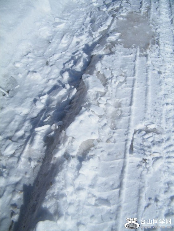 DSCF7339.JPG
