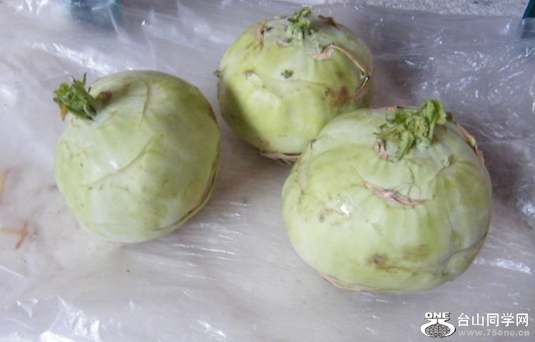DSCF7529.JPG