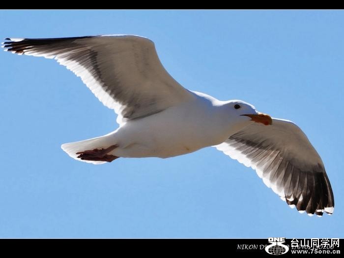 2_2239_ab075895b3b4e51-copy.jpg