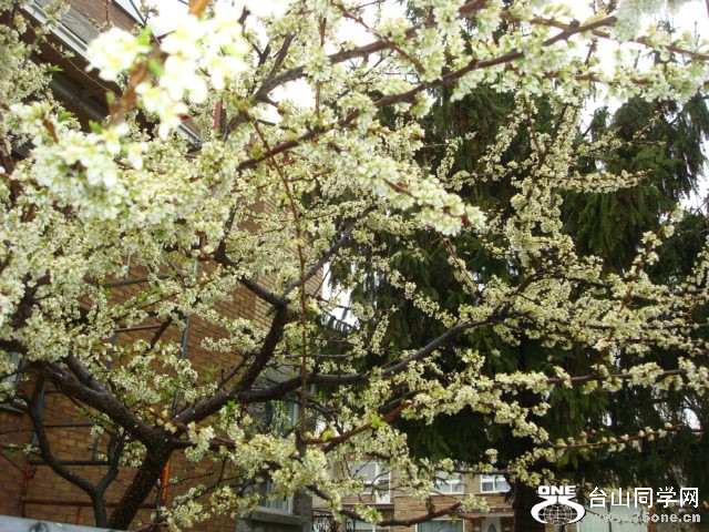 DSC01533.JPG
