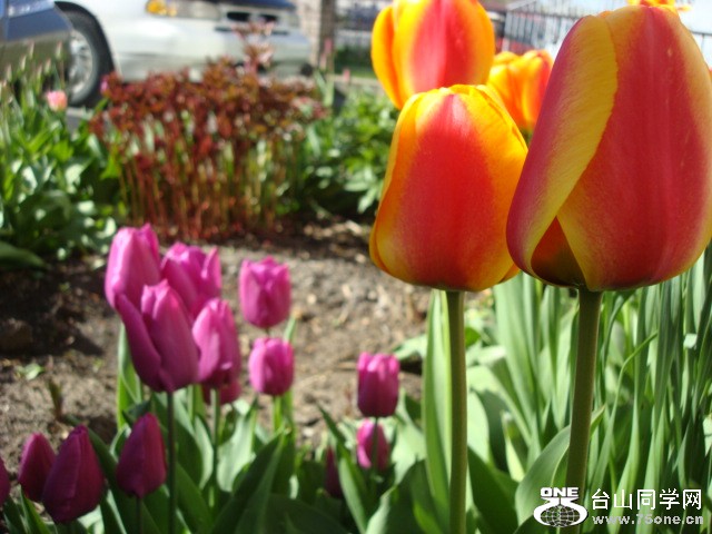 DSC01515.JPG