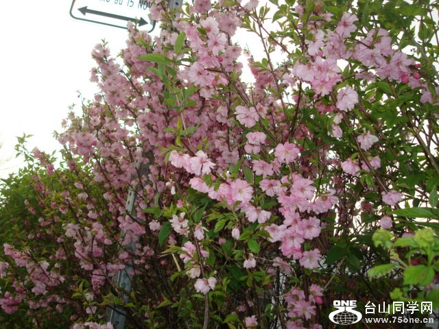 DSC01532.JPG