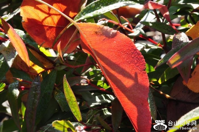 22_8301_c169c2dbdf012a7[1].jpg