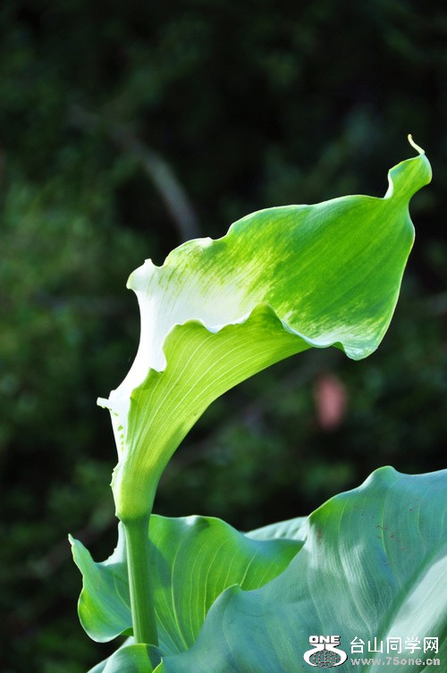 w1.jpg