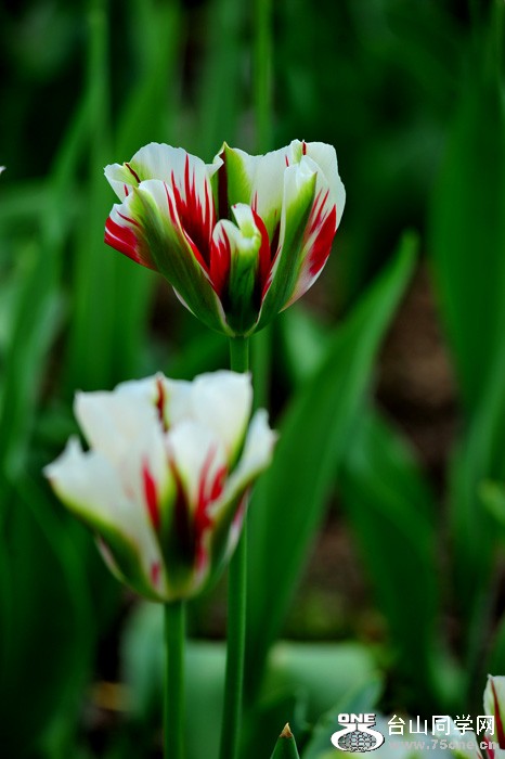 DSC_5049.jpg