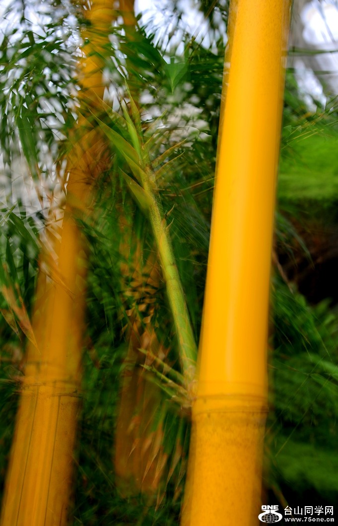 DSC_4709.jpg