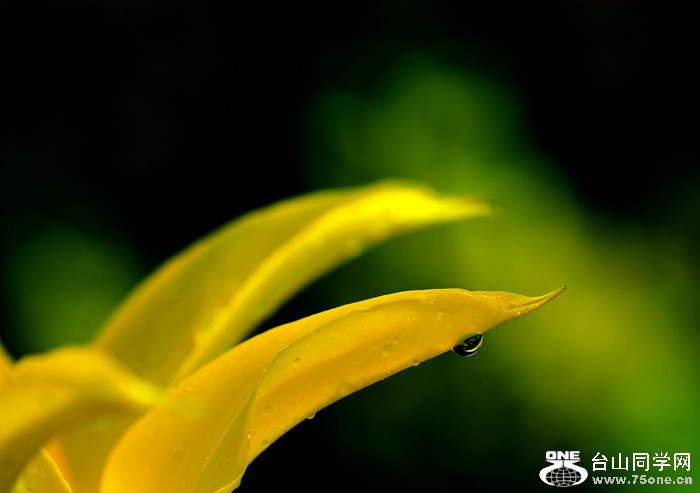 DSC_4971.jpg