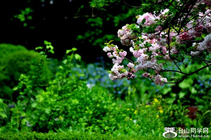 DSC_5069.jpg